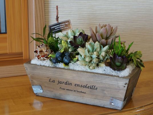 植物が飾られた木箱
