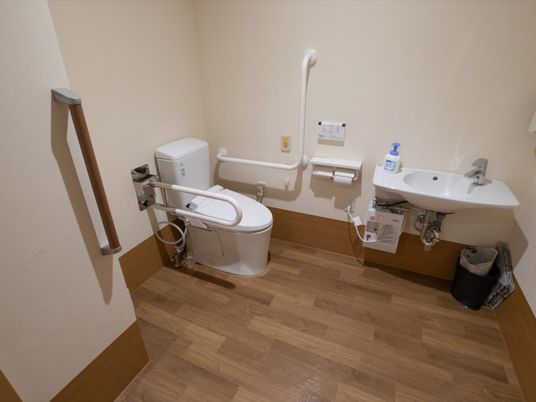 施設の写真 広々とした明るい清潔感のあるトイレである。温水洗浄便座や洗面スペース、ナースコール、手すりが完備されている。