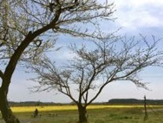 中庭の植物と休憩者