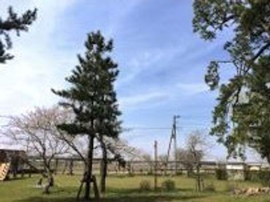 緑豊かな中庭風景