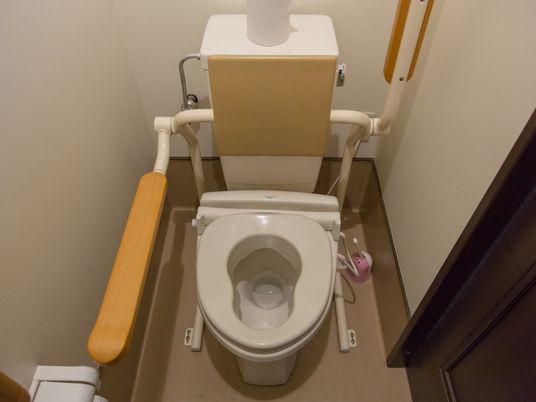 バリアフリー設計のトイレ