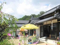 中庭での憩いの時
