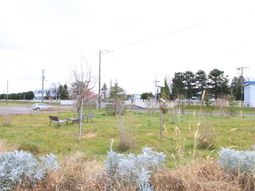 緑豊かな中庭の景観