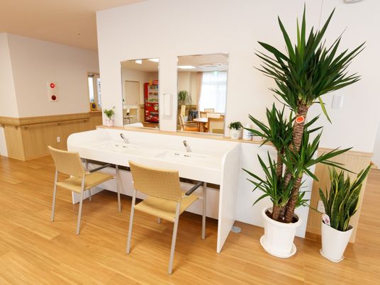 清潔な洗面台と植物