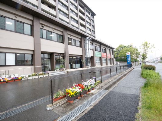 花壇付きのモダンな外観