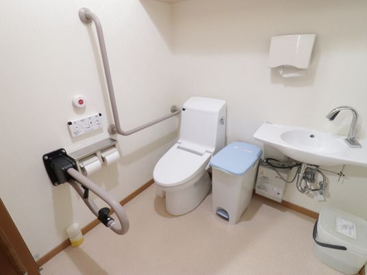介助者と車椅子のご利用の方が、2人で入っても余裕のある大きなトイレである。手洗い場があり、ペーパータオルが備わっている。