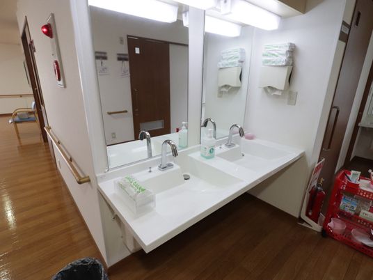 大きな鏡の付いた洗面台が、２つ並んで設置されている。蛇口の横には、ハンドソープの入った四角いボトルが置いてある。