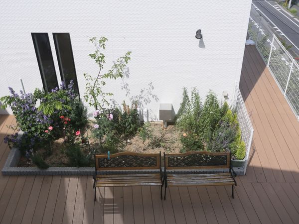 中庭のベンチと植物