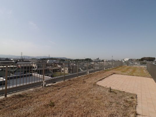 広々とした施設の屋上