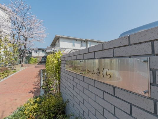 桜とエントランスの風景
