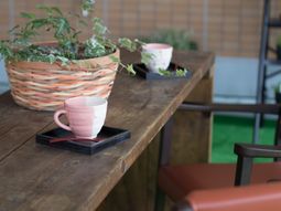 テーブルとカップの中庭