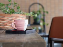 コーヒーカップと観葉植物