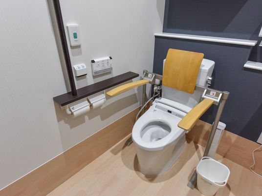 洗浄機能付きの洋式トイレは、両脇に木製の可動式の肘掛けが、後方には背当てが備わっている、車椅子対応型である。