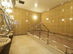 手すり付き明るい浴室