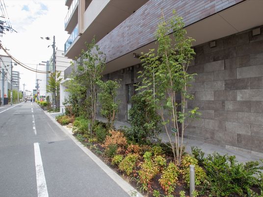 施設の外観と植栽