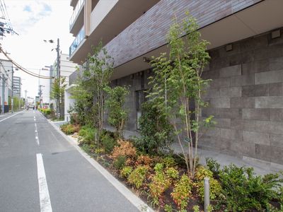 施設の外観と植栽