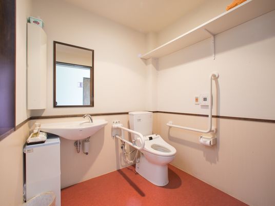 温水洗浄便座器や洗面台が完備されたトイレである。手すりや呼び出しブザーが設置され安全である。壁上部には収納棚が設置されている。