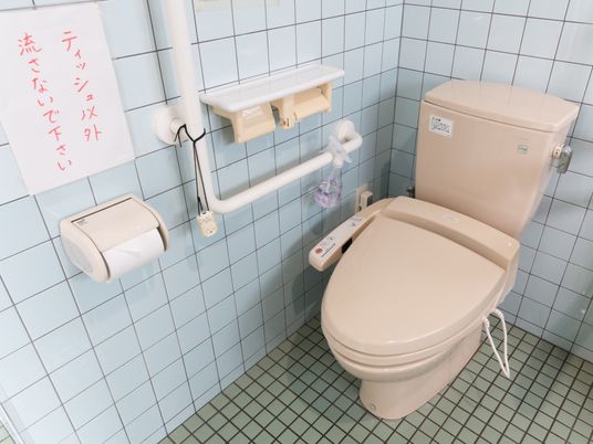 手すり付き清潔なトイレ