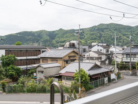 緑豊かな景観