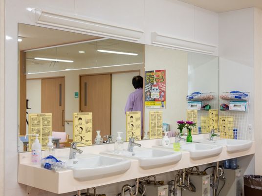清潔な洗面台とミラー