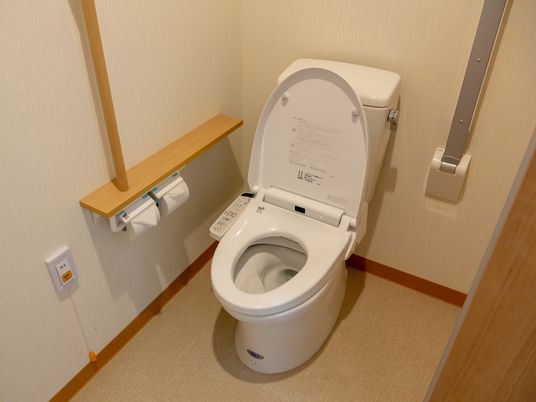清潔なトイレの設備