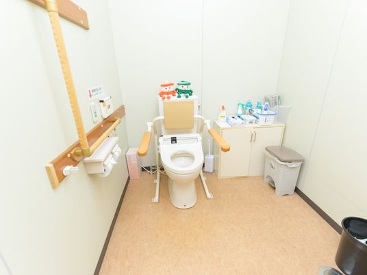 手すり付き清潔なトイレ