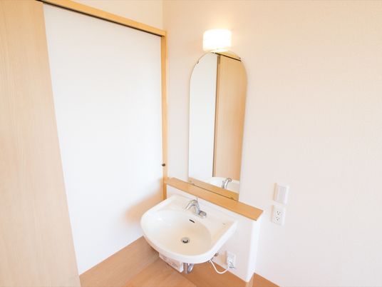 洗面台と鏡のある部屋