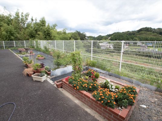 植物が並ぶ明るい施設外観