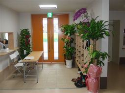 エントランスに花と植物