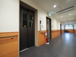 清潔な廊下とエレベーター