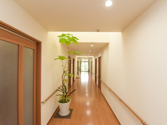 清潔な廊下と植物