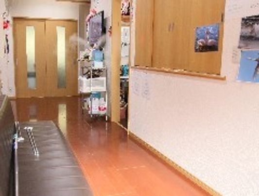廊下の明るい雰囲気