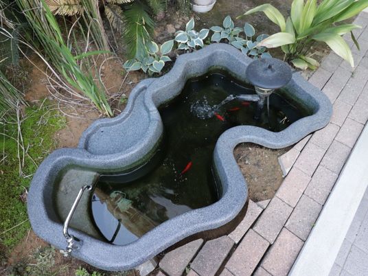 外の散策を楽しむことができるよう、金魚を飼育する鉢を設置している。体を動かす事で健康維持につながる環境づくりをしている。