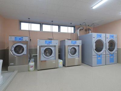 清潔な洗濯機並ぶ部屋