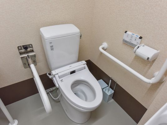 手すり付き清潔なトイレ