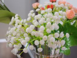 きれいな花のアレンジメント