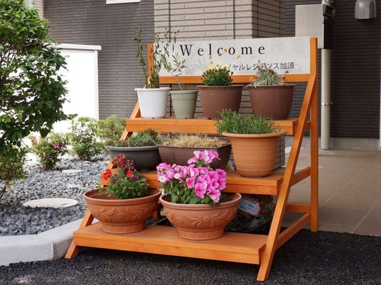 入口の観葉植物ディスプレイ