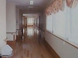 明るい廊下の様子