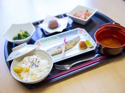 和風の食事セット