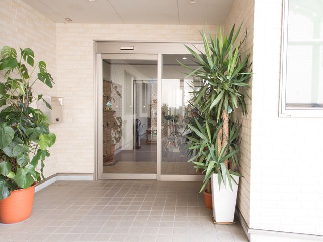 明るいエントランス植物付き 玄関 開放的なエントランスは、訪れる方をあたたかく迎え入れます。緑豊かな植物が癒しの空間を創出しています。