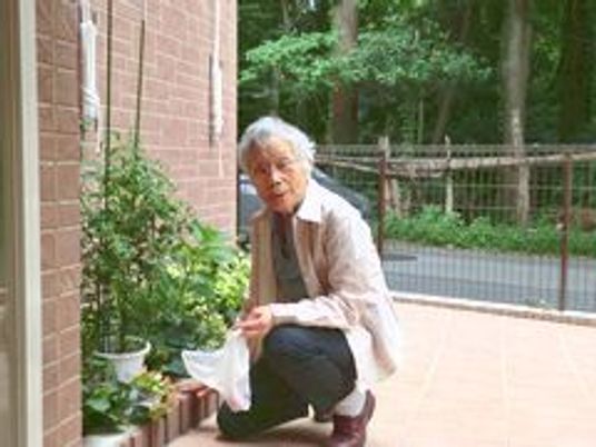 庭で植物の世話をする高齢者