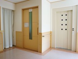 清潔な廊下とエレベーター