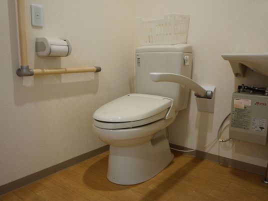 手すり付き清潔なトイレ
