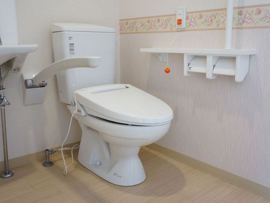 手すり付き清潔なトイレ