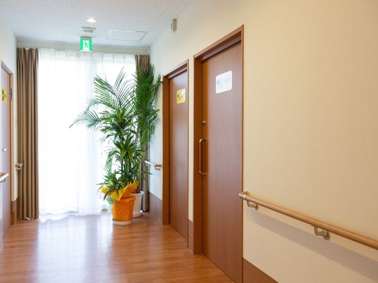 廊下の手すりと植物