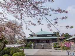 桜と建物の春景色