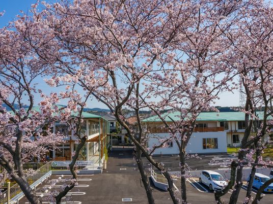 桜と施設の外観