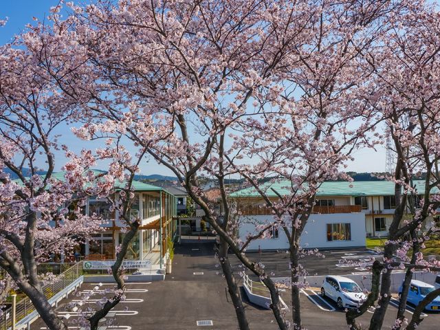 桜と施設の外観 駐車場 桜並木が彩る清潔な施設です。四季の移ろいを感じながら、心地よい環境でのお仕事をご検討ください。