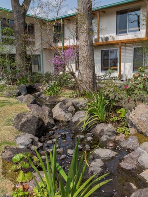 庭園の小川と緑