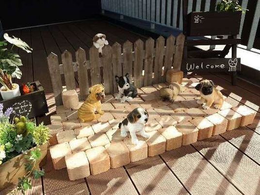 犬のぬいぐるみとウェルカム看板